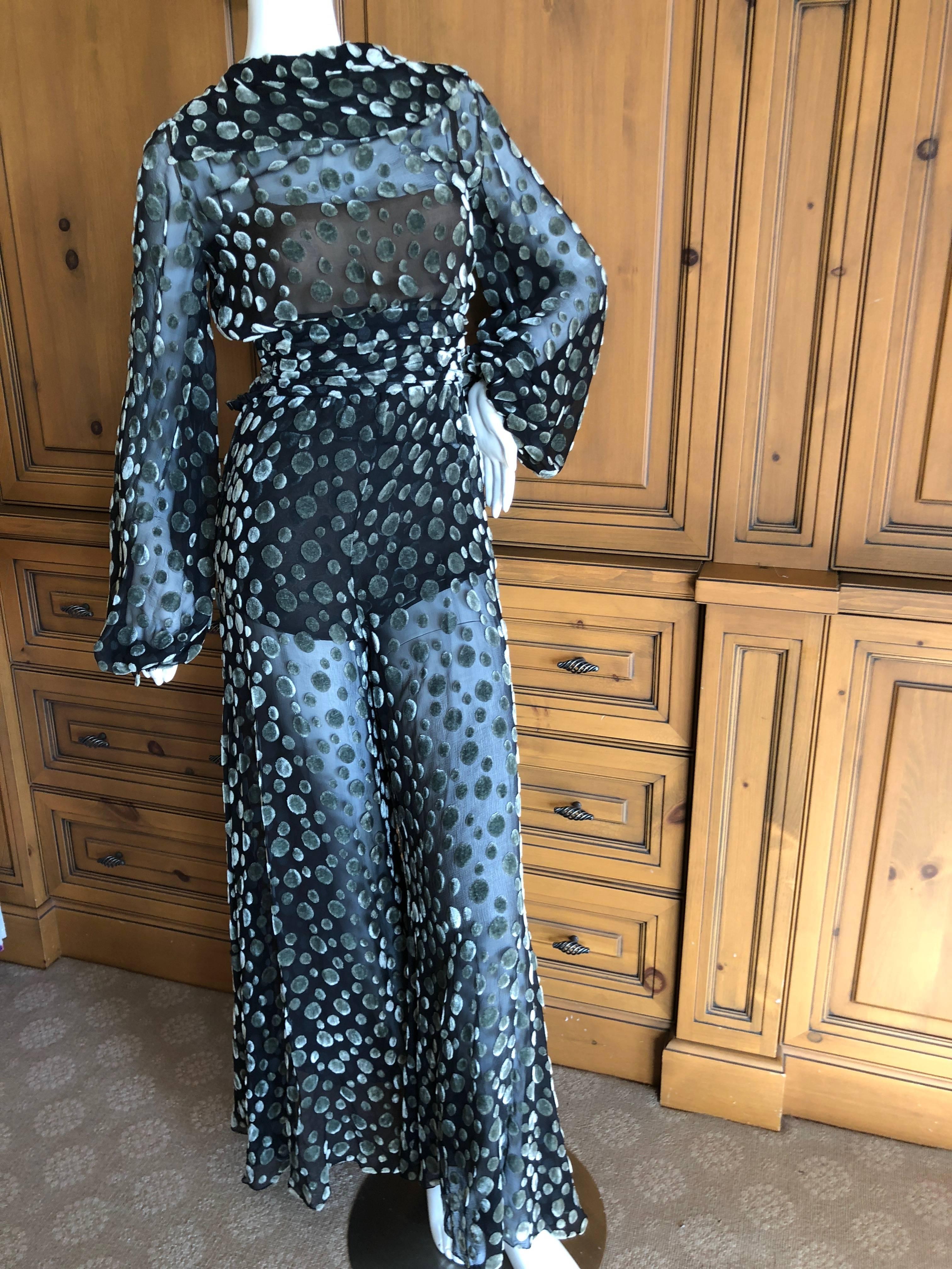 Cardinali 1974 Sheer Silk Devore Velvet Poet Sleeve Jumpsuit For Sale 4