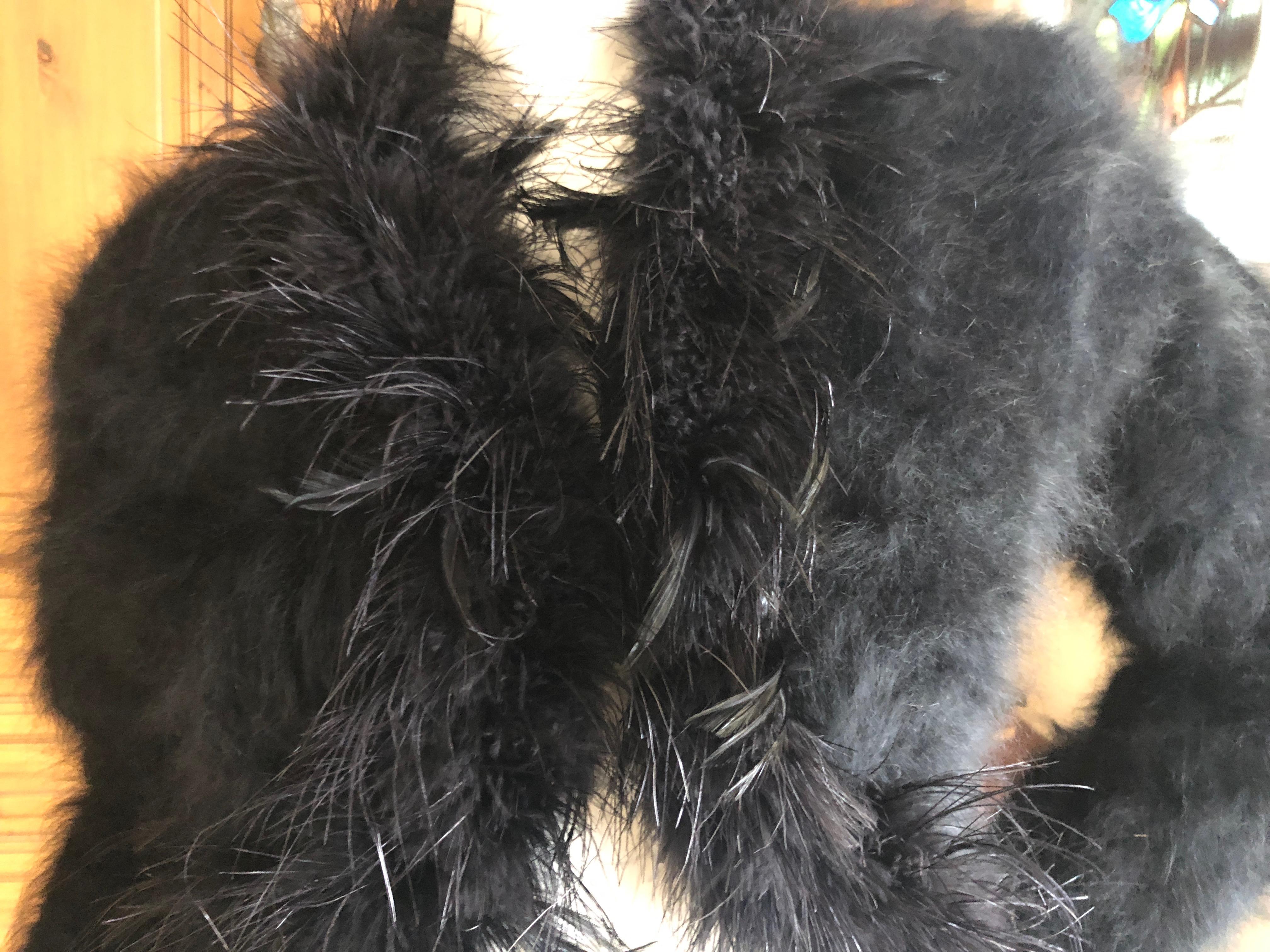 Women's or Men's Yves Saint Laurent Rive Gauche 1970's Black Fuzzy Feather Trim Cardigan  Jacket For Sale