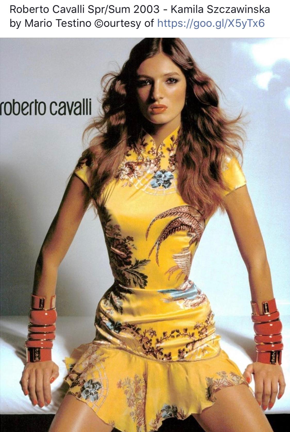 Roberto Cavalli Vintage Cheongsam Style Dress, from Spring 2003.
Ad campaign dress photographed by Mario Testino.
There a lot of stretch . One of the eye on the hook and eye closures is missing.

Size S

Bust 36