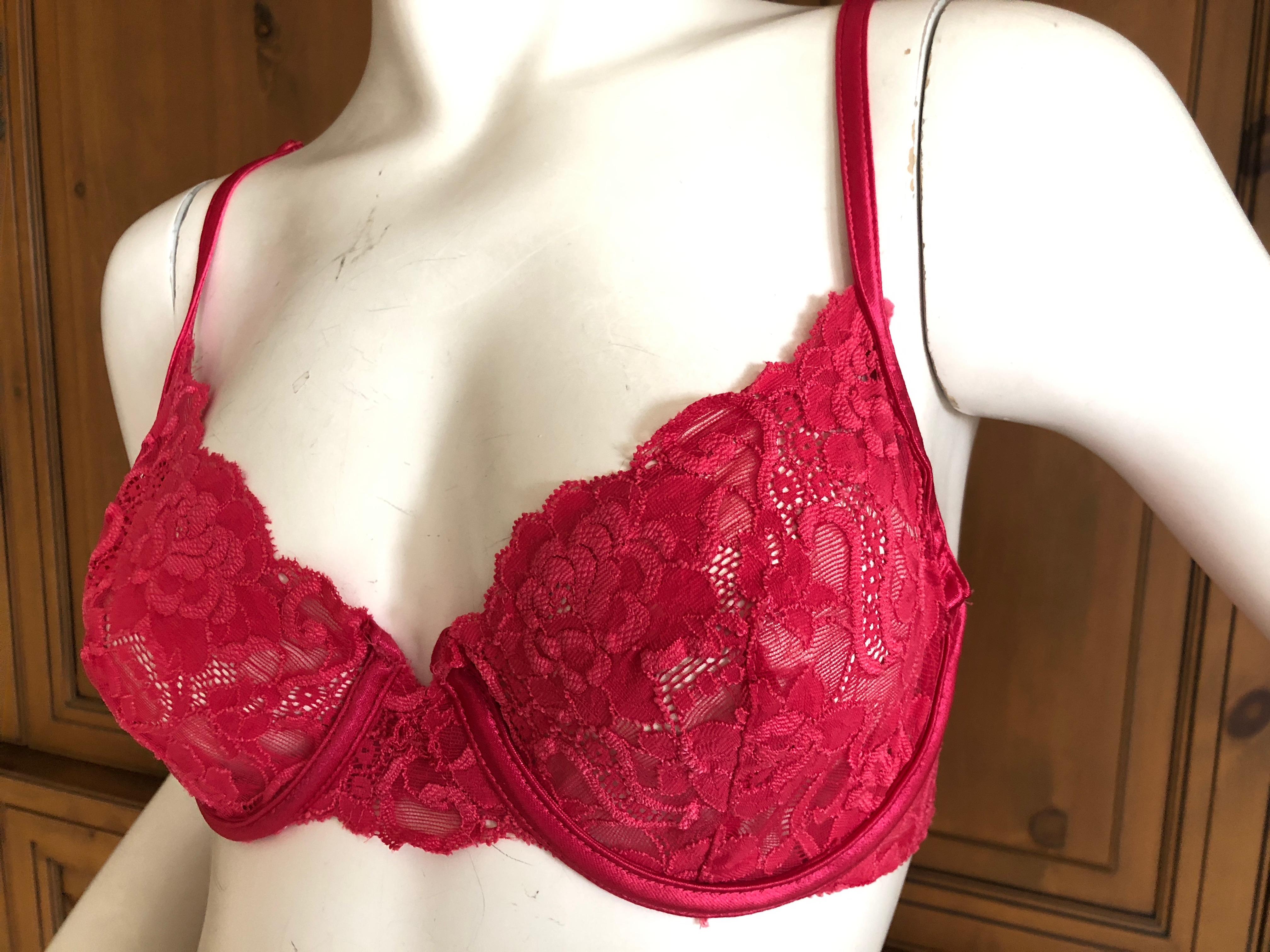 Christian Dior by John Galliano Vintage Intimates Lace Trim Underwire Bra 34C In Excellent Condition For Sale In Cloverdale, CA