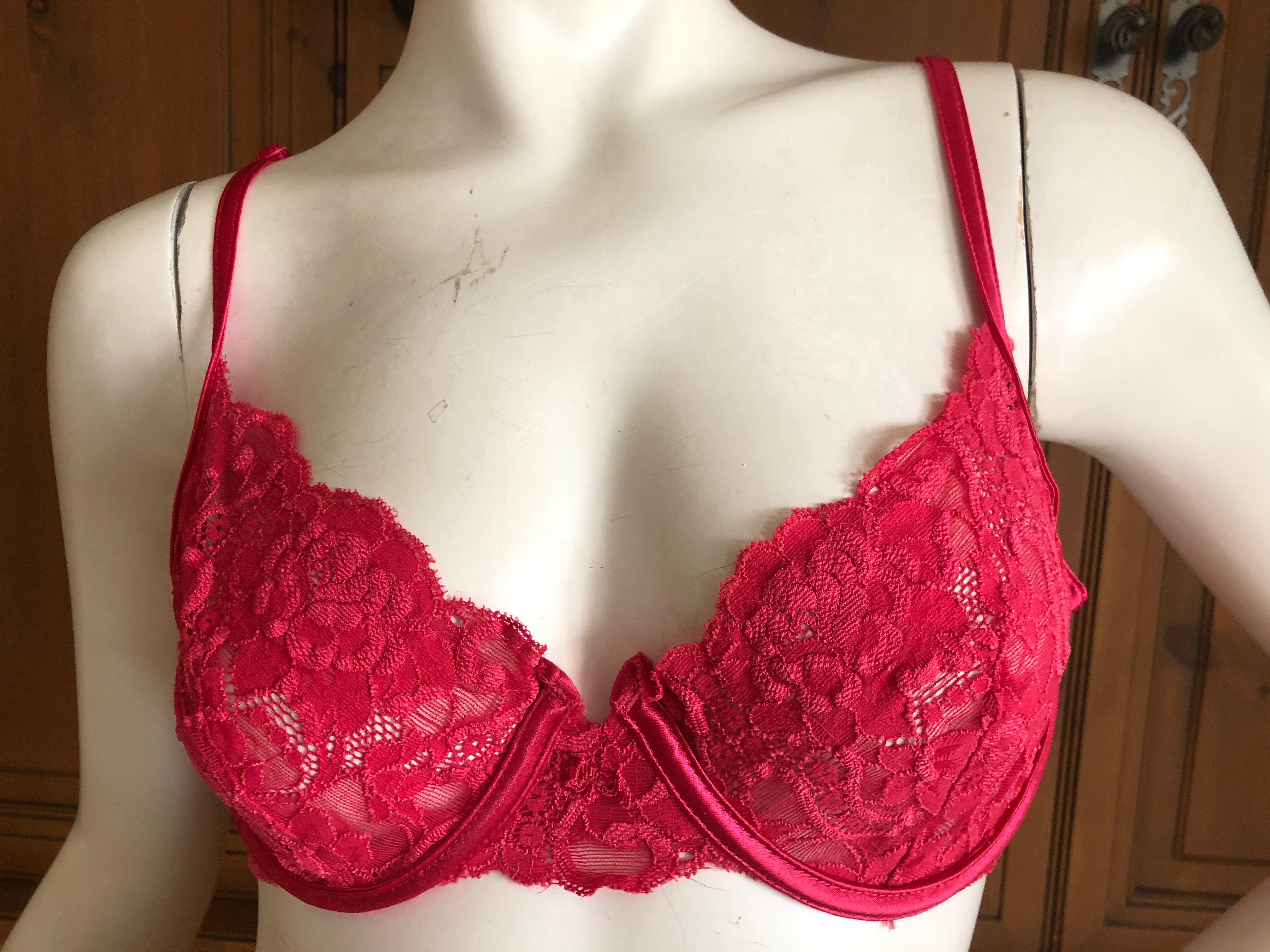 Women's Christian Dior by John Galliano Vintage Intimates Lace Trim Underwire Bra 34C For Sale