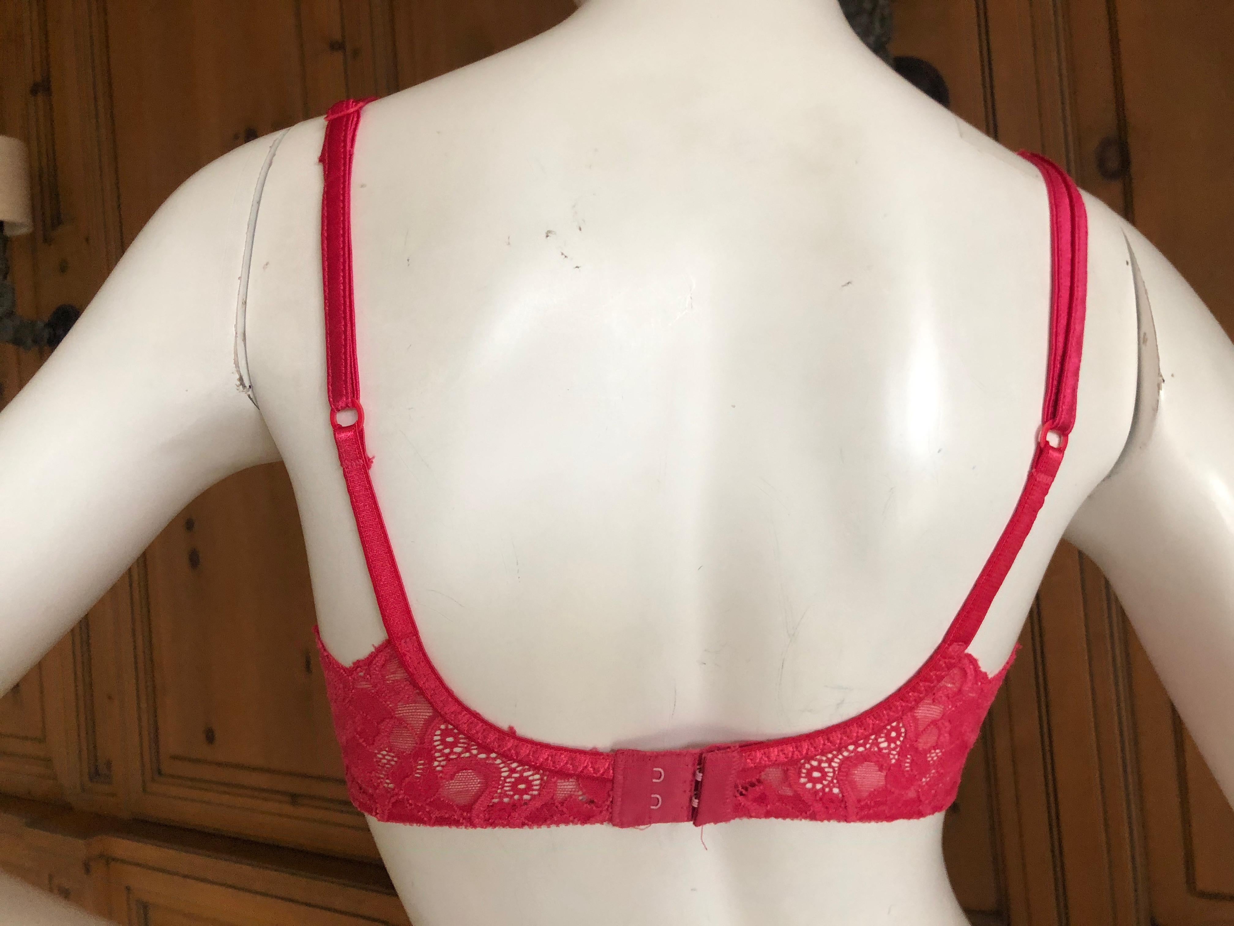 Christian Dior by John Galliano Vintage Intimates Lace Trim Underwire Bra 34C For Sale 1
