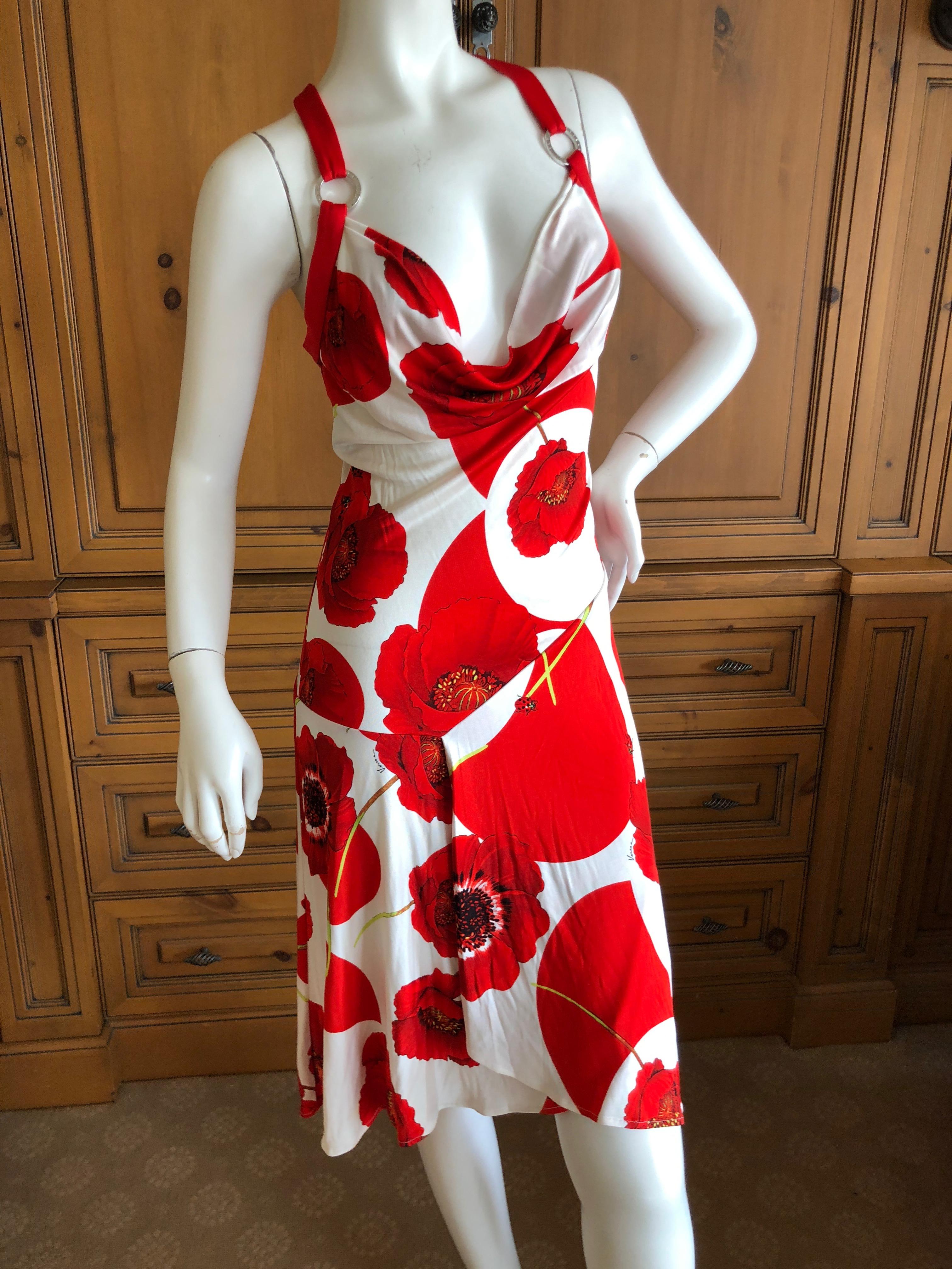 vintage poppy dress