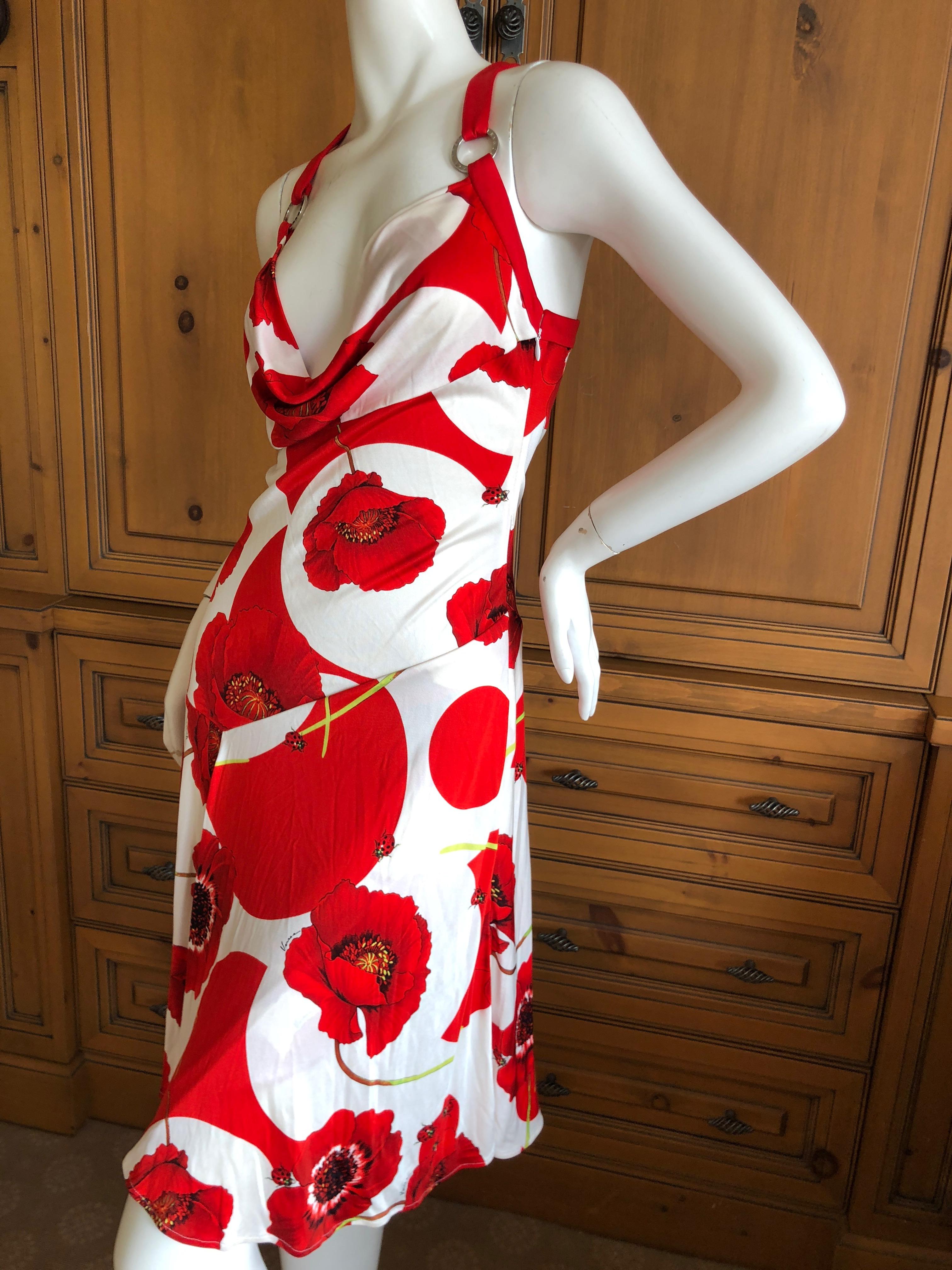 ladybug print dress