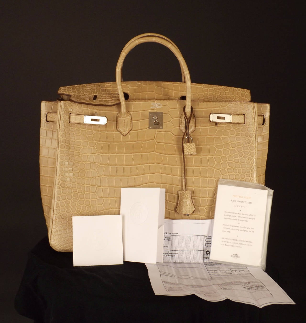 Hermes Ficelle Matte Porosus Crocodile 40cm Birkin 6