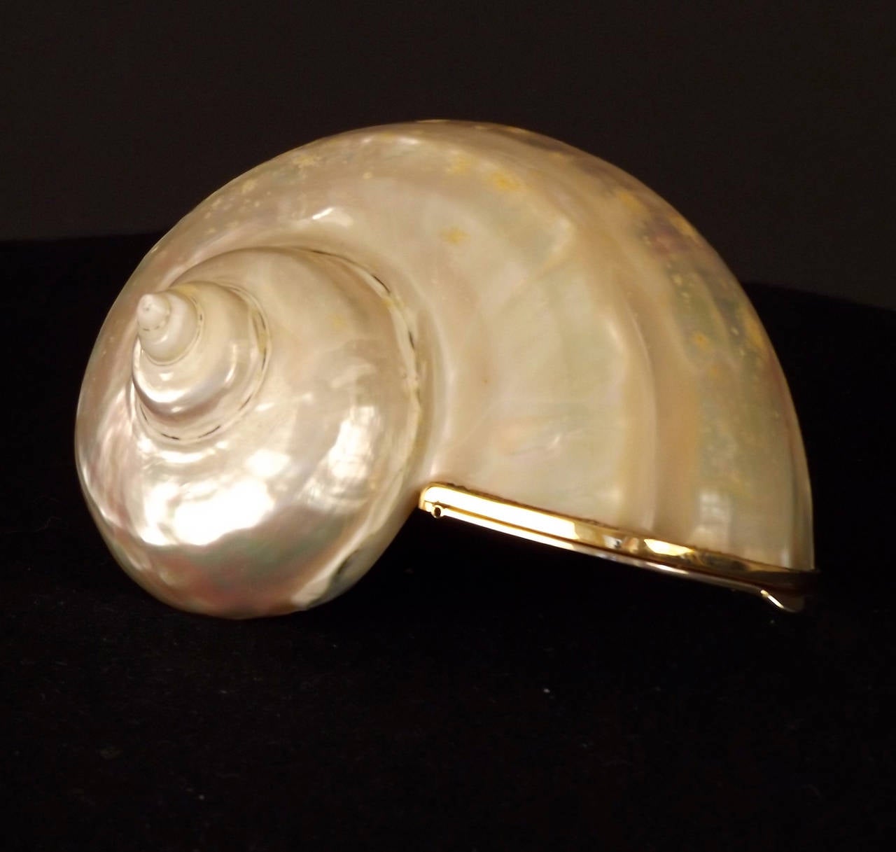 This amazing evening clutch either dates to the late 1970s or the early 1980s. My research has found both, so I'm not sure which is correct. The shell clutch is made from a real seashell with an attached gold top and hinged flap. A very rare piece