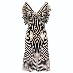 Roberto Cavalli Zebra Striped Dress 40