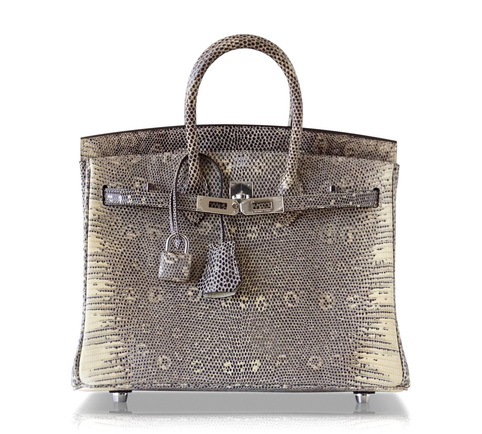 Gray Hermes Ombre Lizard Palladium Hardware Birkin 25 Bag