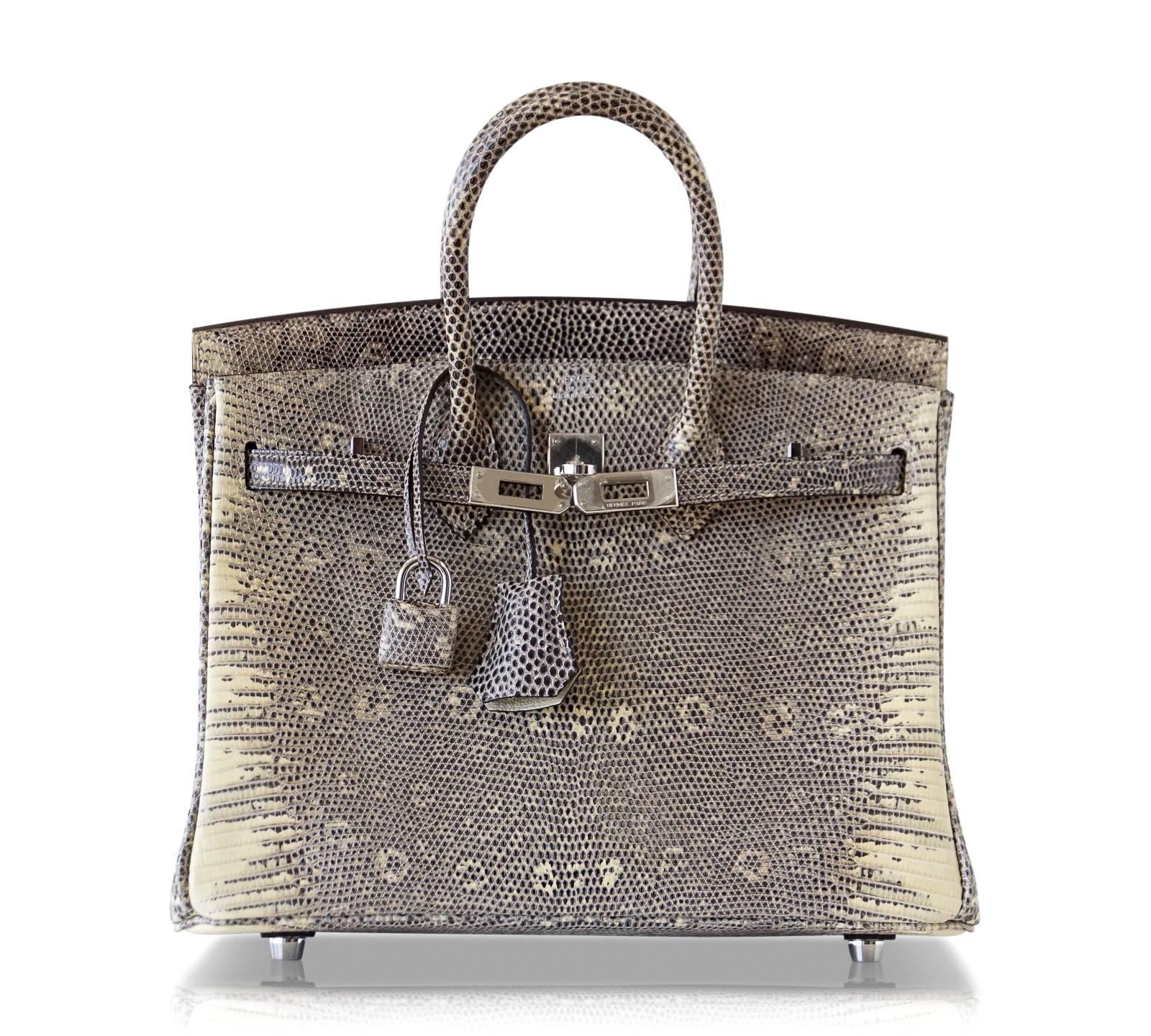 Gray Hermes Ombre Lizard Palladium Hardware Birkin 25 Bag 