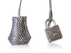 Hermes Ombre Lizard Palladium Hardware Birkin 25 Bag