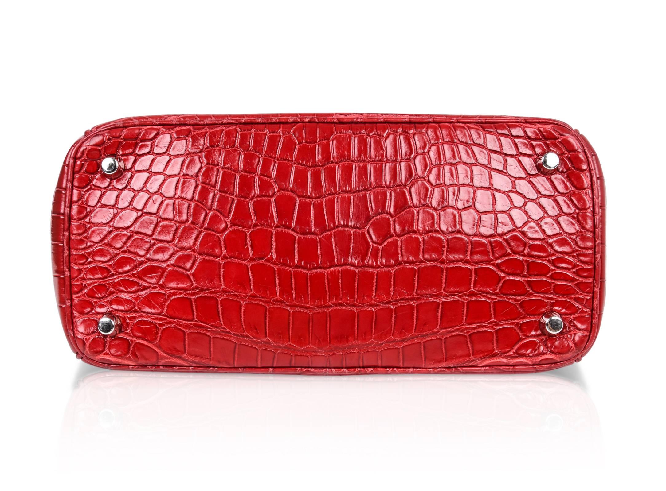 Christian Dior Be Dior Bag  Matte Red Crocodile Double Flap Small  6