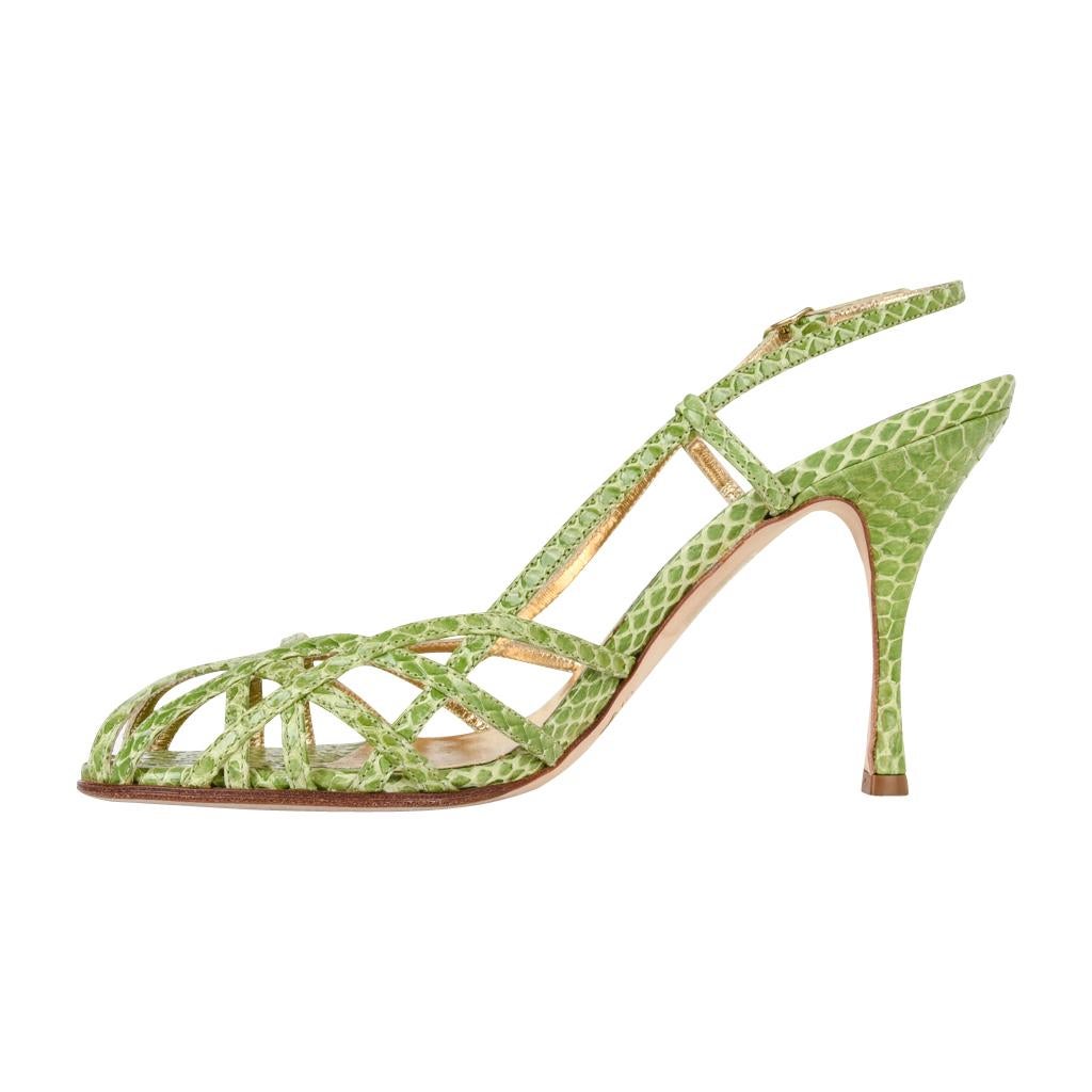 Beige Dolce&Gabbana Shoe Green Snakeskin Strappy 37.5 / 7.5 Mint For Sale