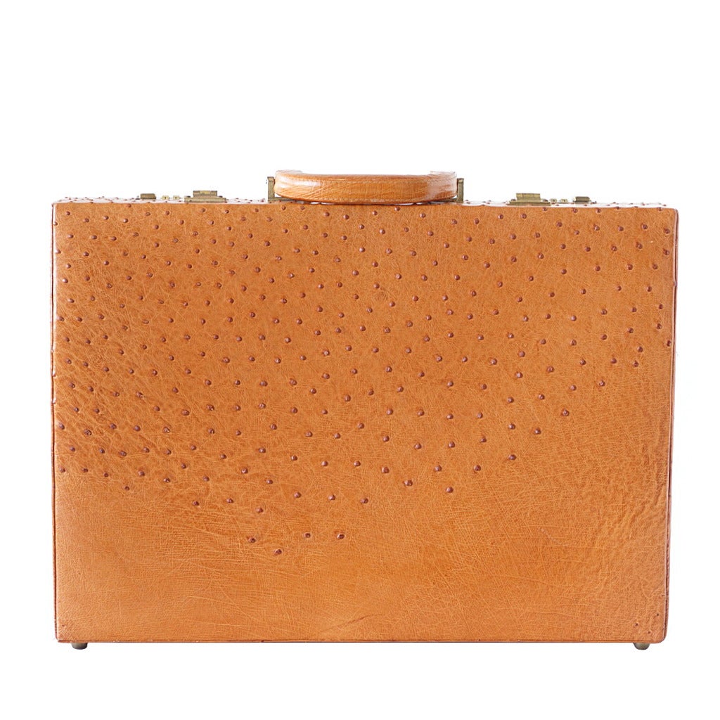 CATHERINE CARSON briefcase full quill South African ostrich at 1stDibs