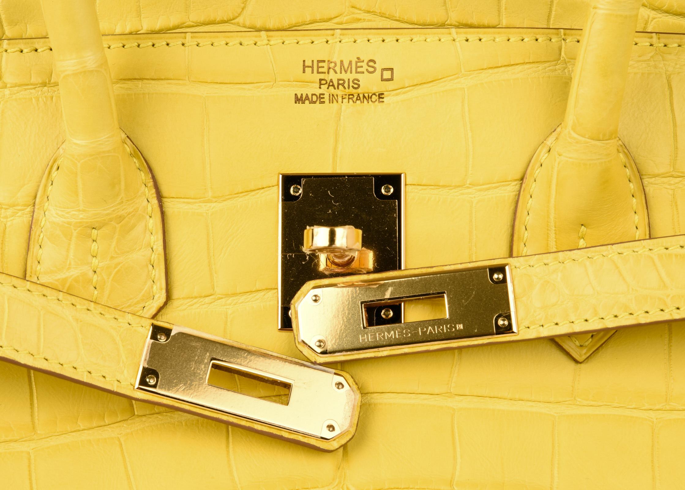 hermes mimosa birkin