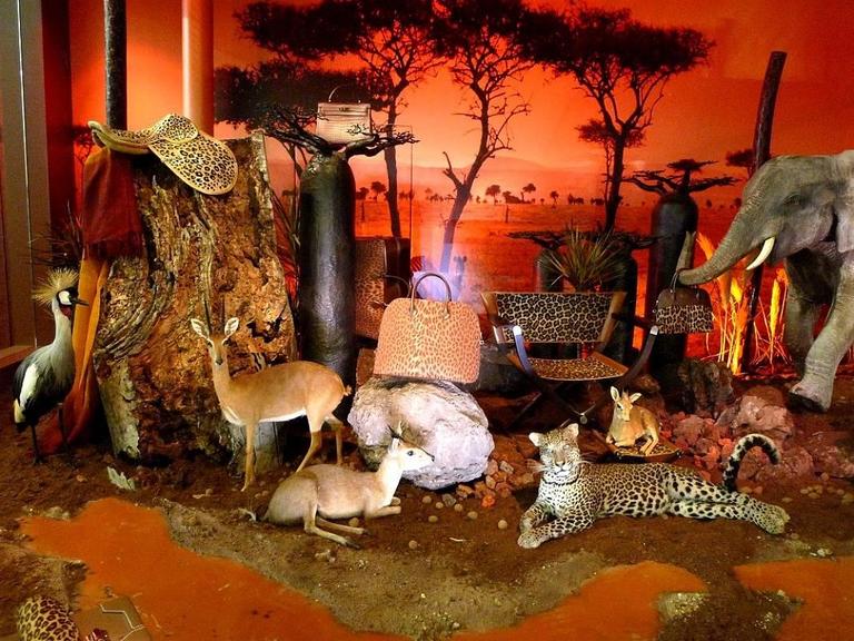 Hermes Les Vitrines Hermes Contes Nomades Leila Menchari Rare Book new