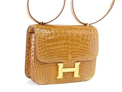 Hermes Constance Alligator Gold Hardware Mini 18 Ficelle Tasche