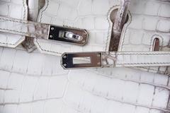 Hermes Birkin Bag 25 Blanc Himalaya Exquisite Jewel Palladium Hardware