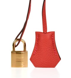 Hermes Birkin Bag 25 Geranium Red Gold Hardware Togo Leather