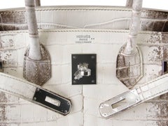 Hermes Birkin 30 Borsa Exquisite Blanc Himalaya Palladium Hardware