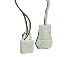 Hermes Birkin 30 Tasche Vert D'eau Matte Alligator Palladium Hardware