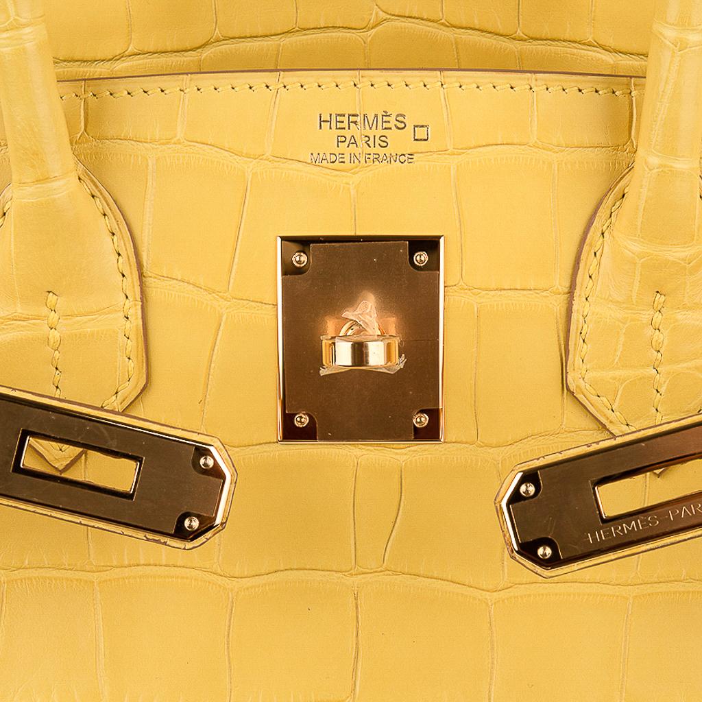 birkin bag