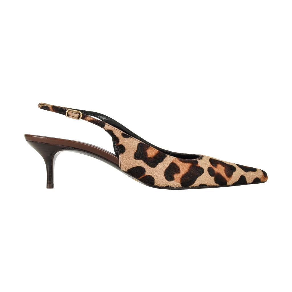 Women's Dolce&Gabbana Shoe Pony Leopard Signature Slingback 40.5 fits 9.5 new