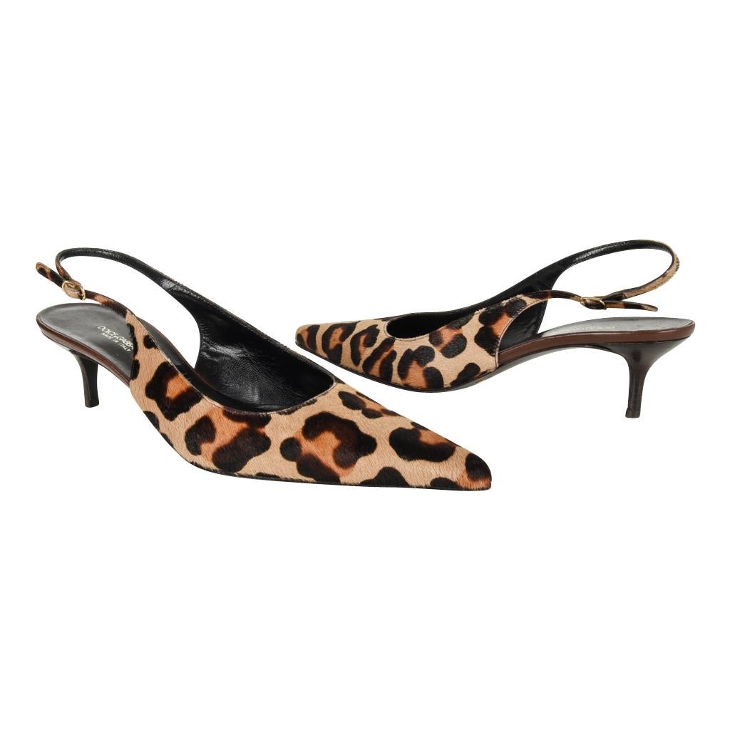 Guaranteed authentic Dolce&Gabbana pony signature Leopard print slingback shoe.
Signature Dolce leopard print in camel and shades of brown pony. 
Small wood stacked heel.
Pointed toe that elongates your legs.
Sleek and wearable.
NEW or NEVER