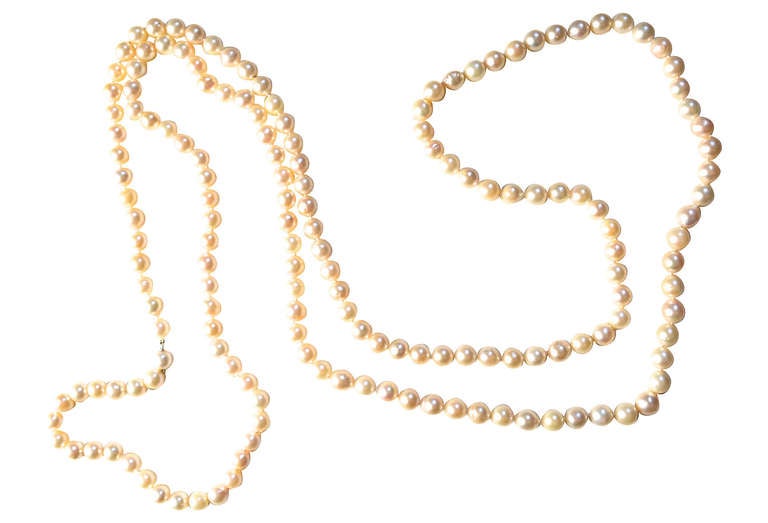 Women's Extra Long Japanese Akoya Pearl Necklace