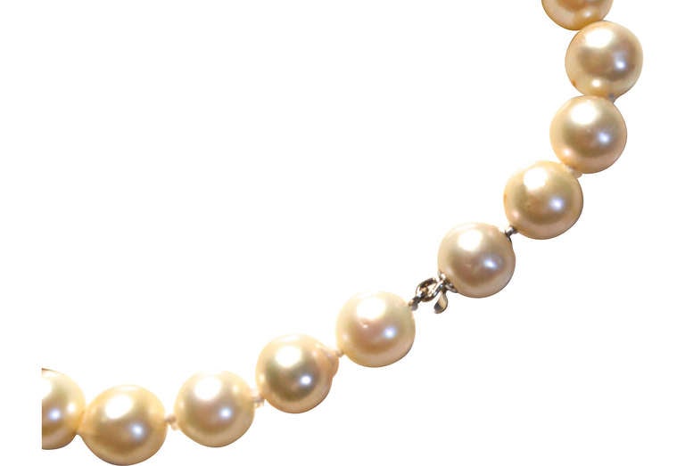 Extra Long Japanese Akoya Pearl Necklace In Excellent Condition In Litchfield County, CT