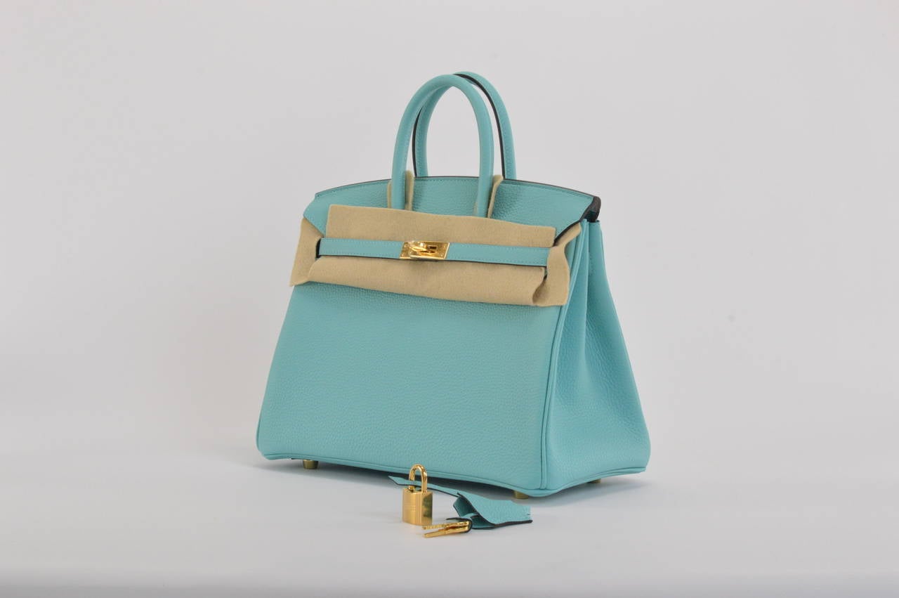 HERMES Handbag BIRKIN 25 Togo Bleu Atoll Gold Hardware at 1stdibs