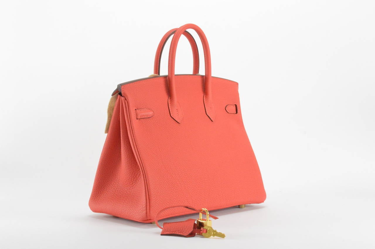 HERMES BIRKIN Bag 25 TOGO ROUGE PIVOINE GOLD Hardware at 1stdibs  