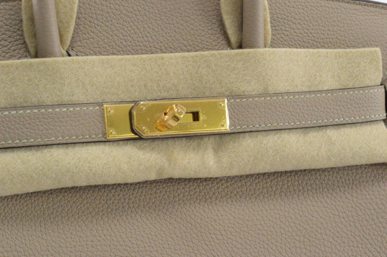 hermes gris tourterelle birkin bag 30cm togo gold hardware