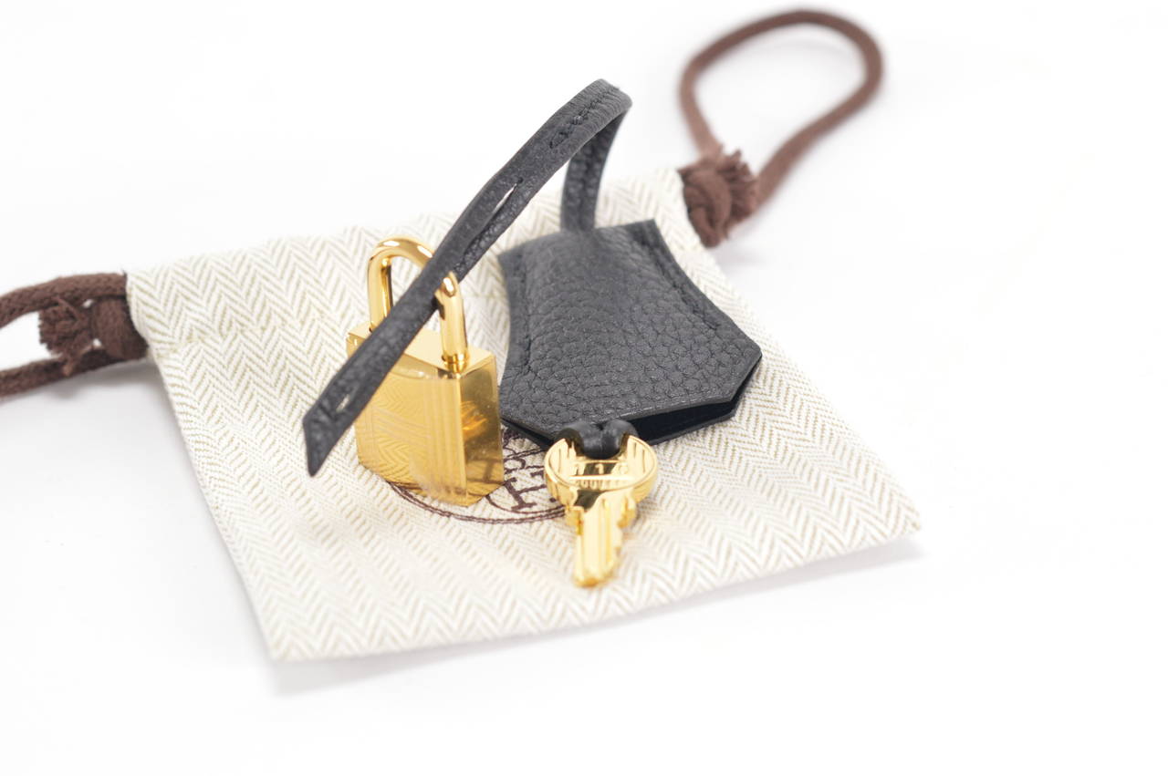 HERMES Handbag BIRKIN 25 TOGO BLACK GOLD Hardware 4