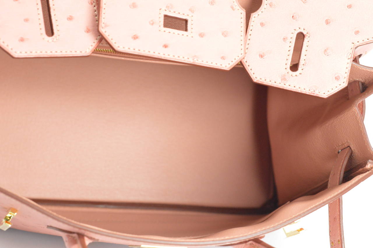 hermes terre cuite ostrich