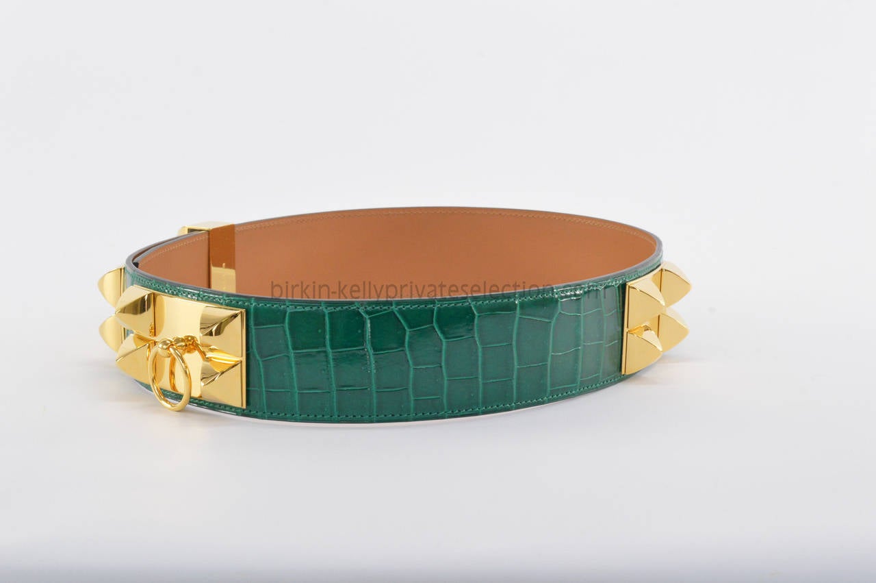 hermes belt collier de chien crocodile green  