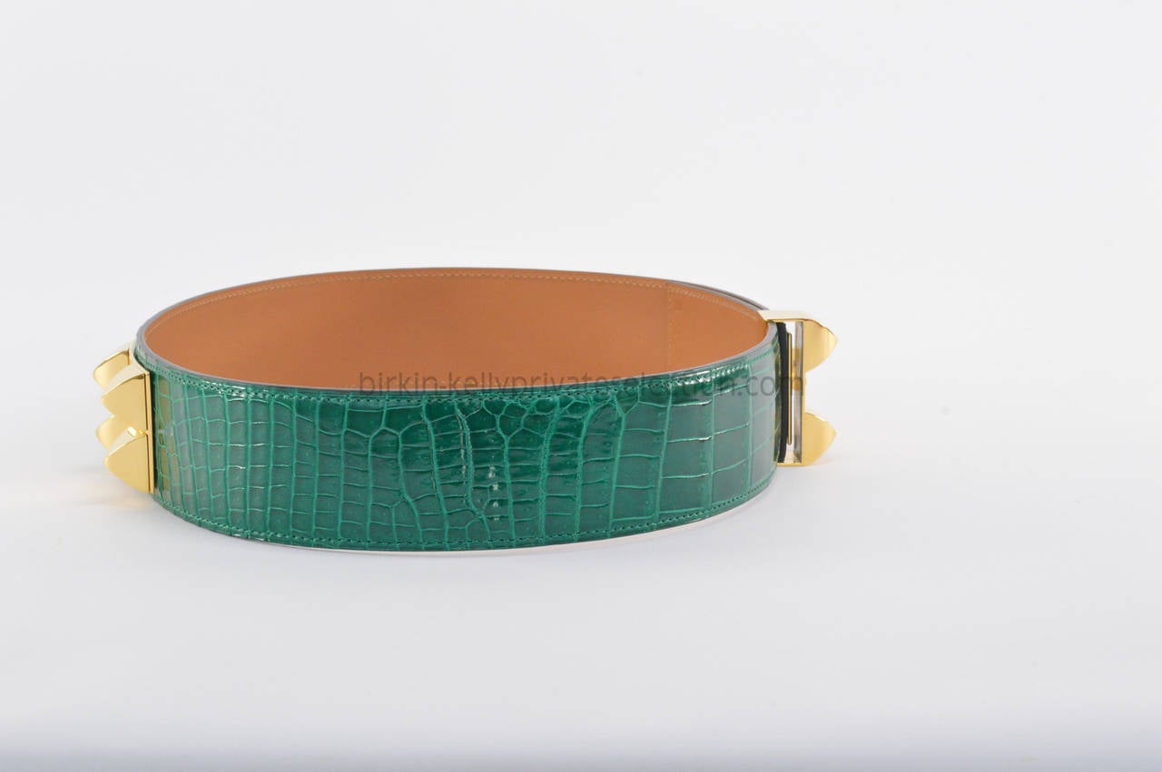 Hermes Belt Collier de Chien Crocodile Green