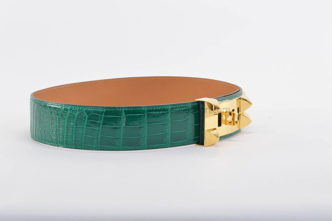 Hermes CROCODILE Belt Collier de Chien 75 CM Green 2014. For Sale ...  