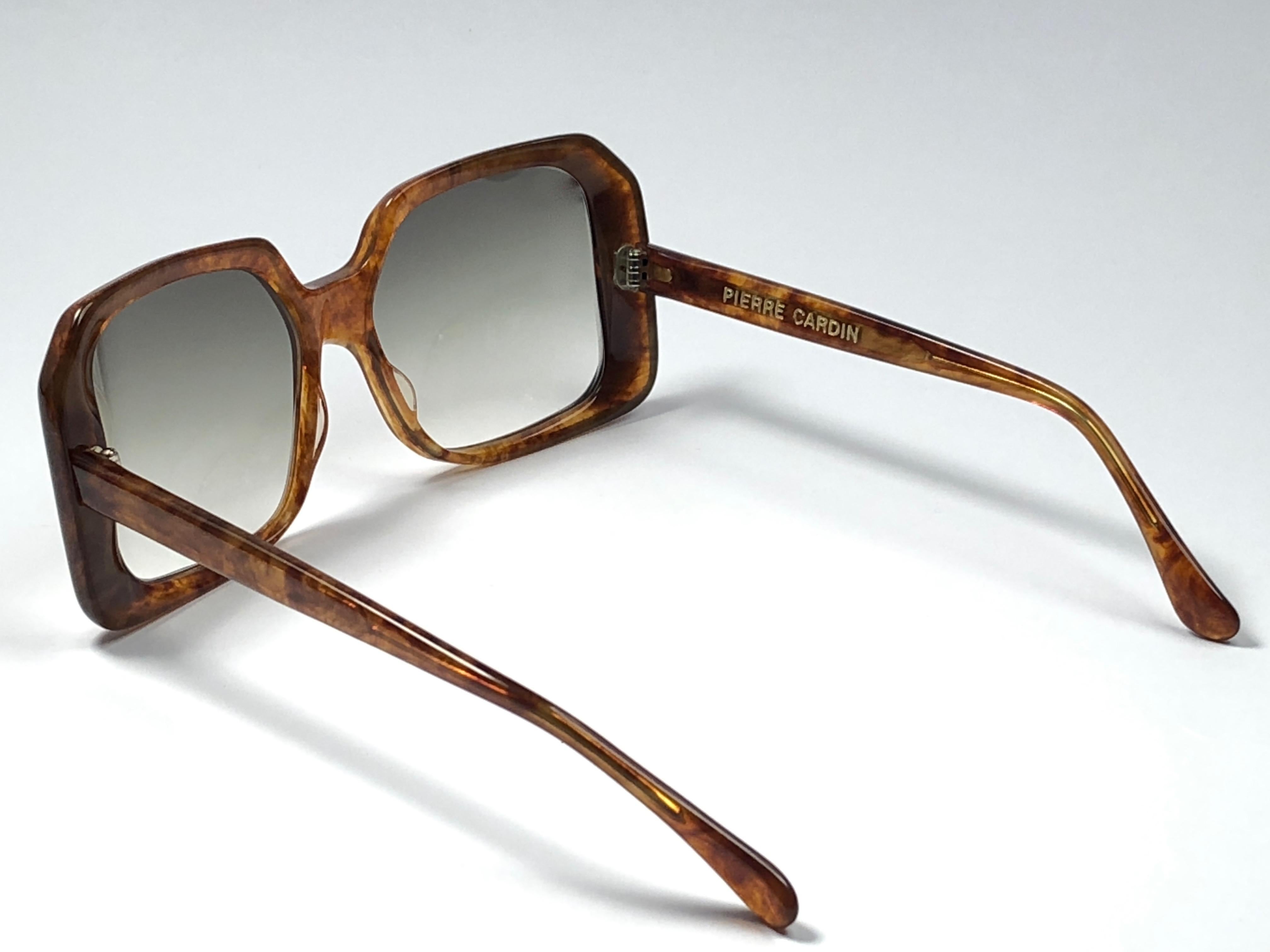 Vintage Pierre Cardin Tortoise Medium Gradient Lens 1960's Sunglasses 1