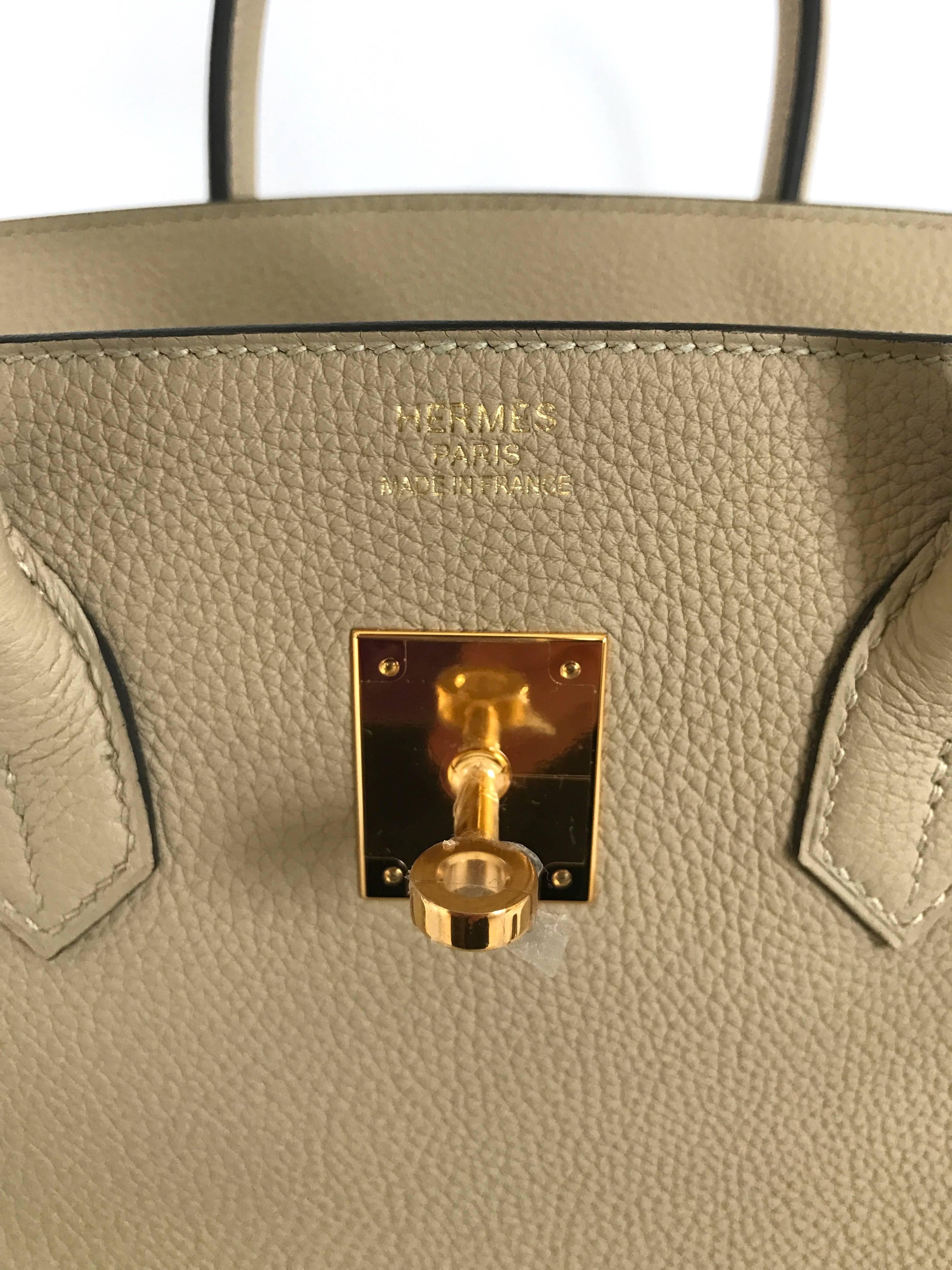 Hermes Trench Birkin 35 Togo Gold Hardware 4