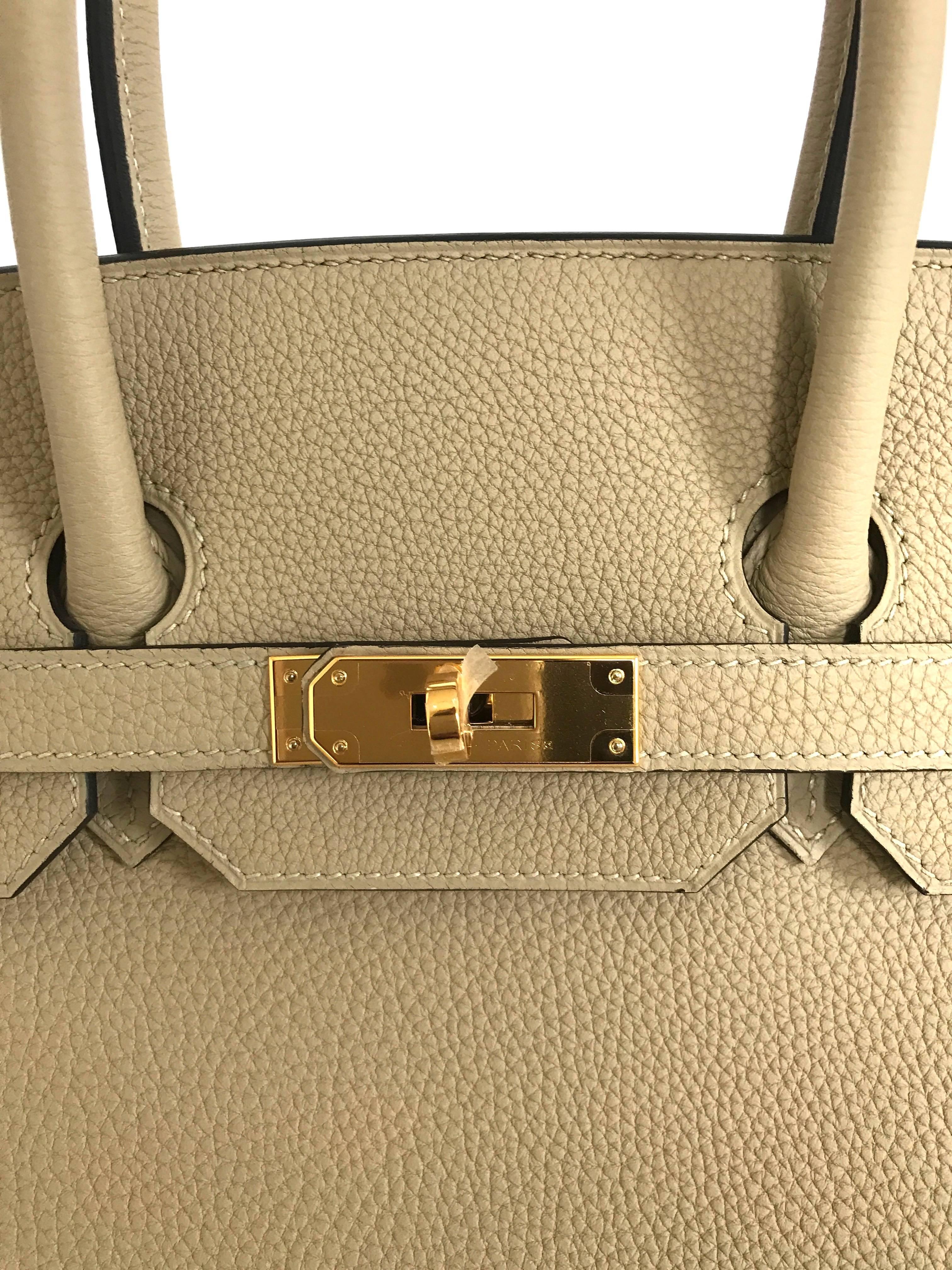 Hermes Trench Birkin 35 Togo Gold Hardware 5