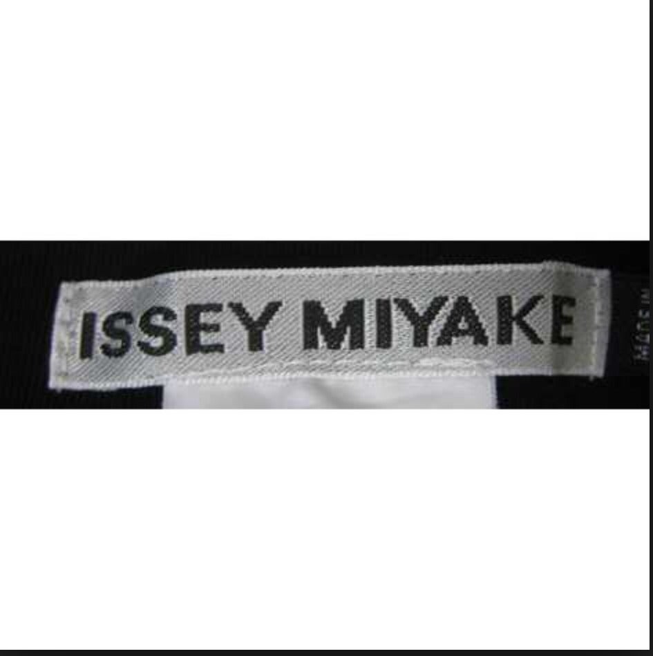 Vintage Issey Miyake Gunmetal Slate Jacket w/ Removable Tassels Rare Find 2