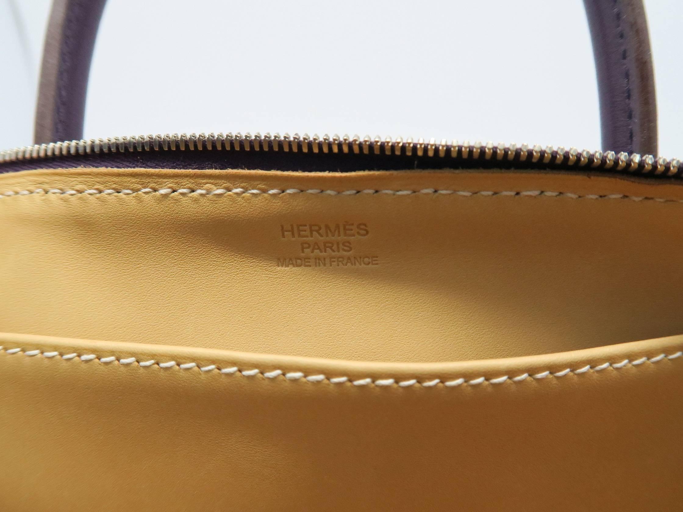 Hermes Paris Bombay Raisin Box Calf Leather Top Handle Bag 3