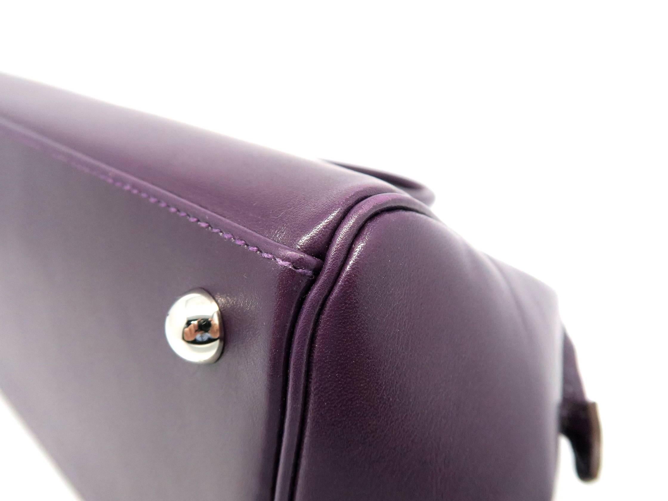 Hermes Paris Bombay Raisin Box Calf Leather Top Handle Bag 5