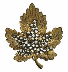 Miriam Haskell 1960s Maple Leaf Vintage Brooch and Earrings Set