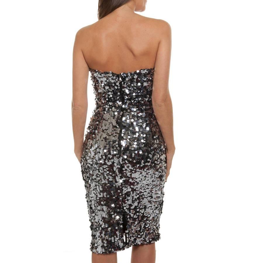 dolce and gabbana silver sequin dress