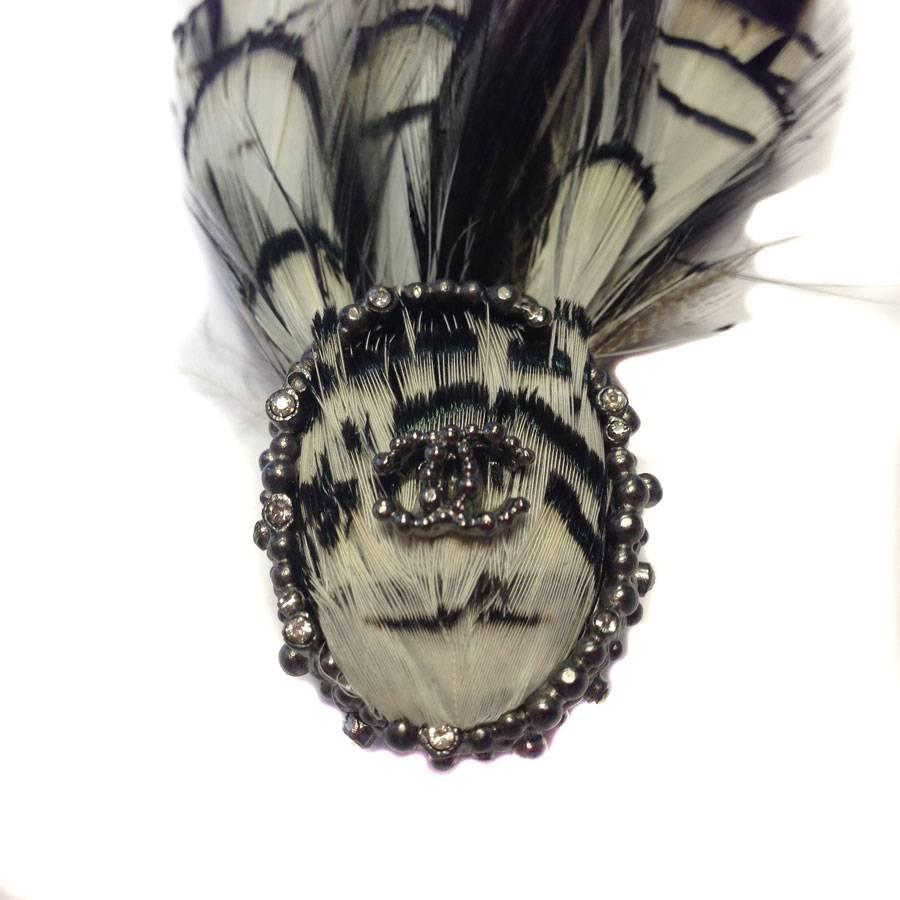 Beautiful Chanel feather brooch in blackened silver metal set with small rhinestones on the front. A small silver CC is placed on the brooch.

Dimensions: brooch: 3,5x2,5 cm, length of the feathers: 9 cm

Delivered in a Valois Vintage Paris dustbag