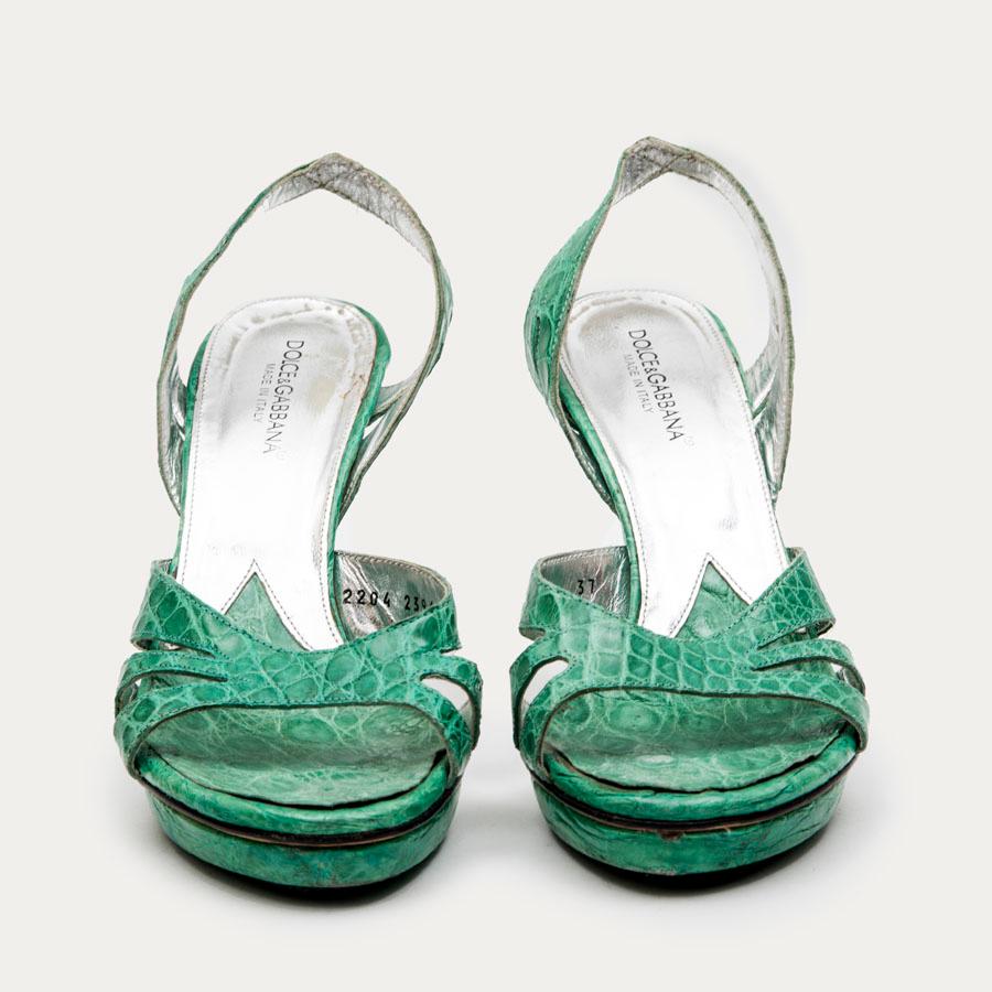 Dolce & Gabbana water green alligator sandals. Size 37

Outsoles in genuine leather. Series 2204 2396 37. Made in Italy

Very good used condition. white marks present on the back of the left insole. Traces of wear on the outer soles. Thongs worked