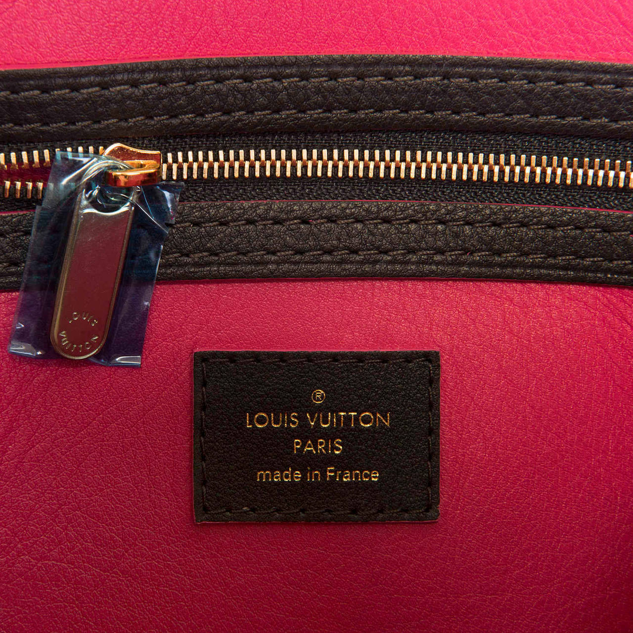 'New & Unused' Limited Edition Louis Vuitton Sofia Coppola 'Veau-Cachmire'  Bag 3