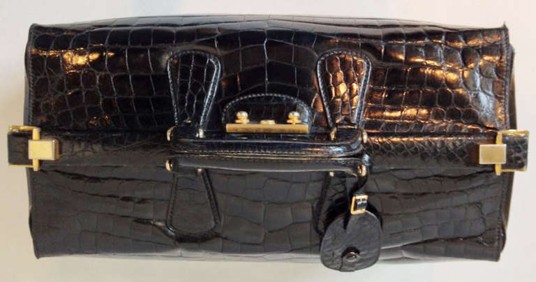 crocodile luggage set