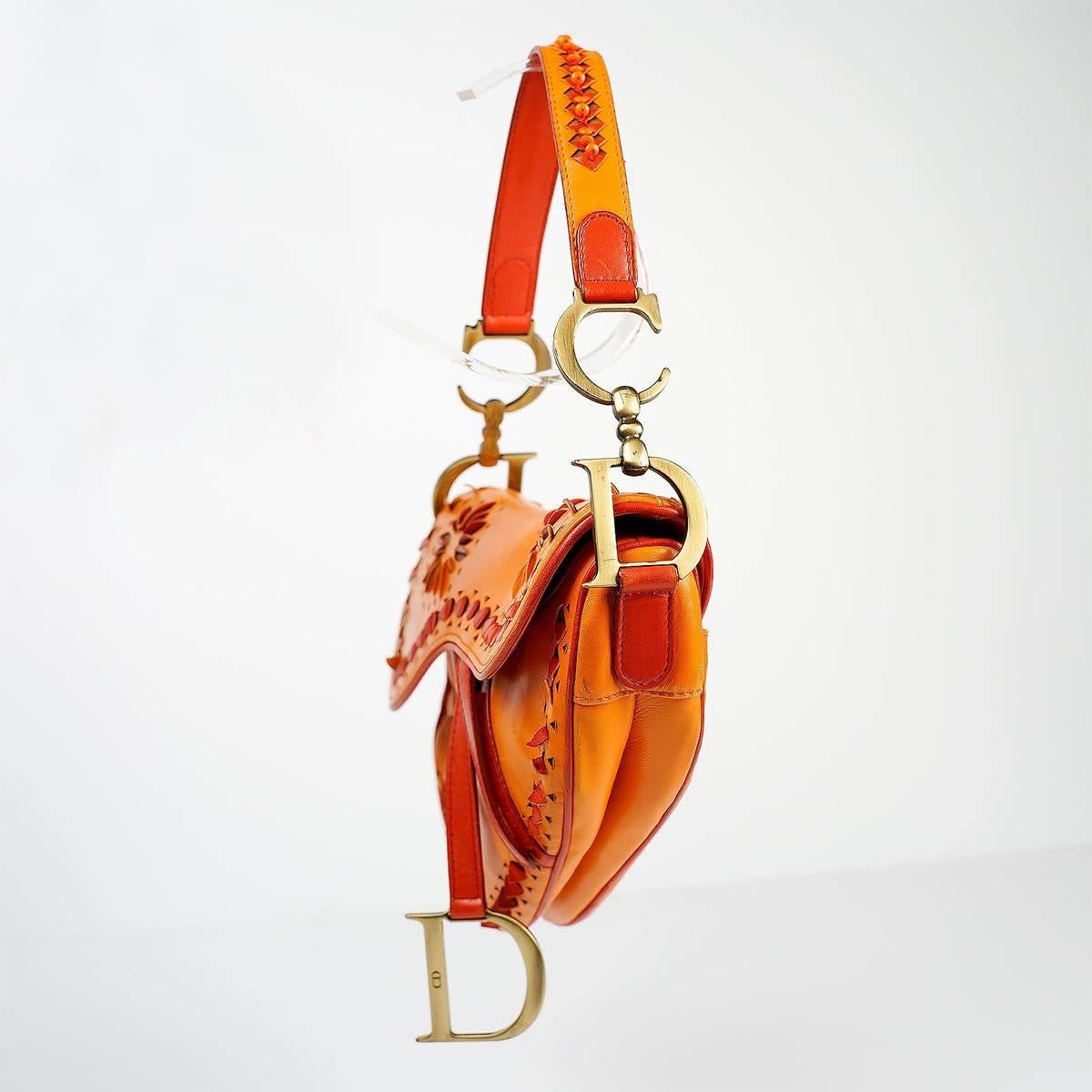 Christian Dior Limited Edition Saddle Shoulder Bag 1